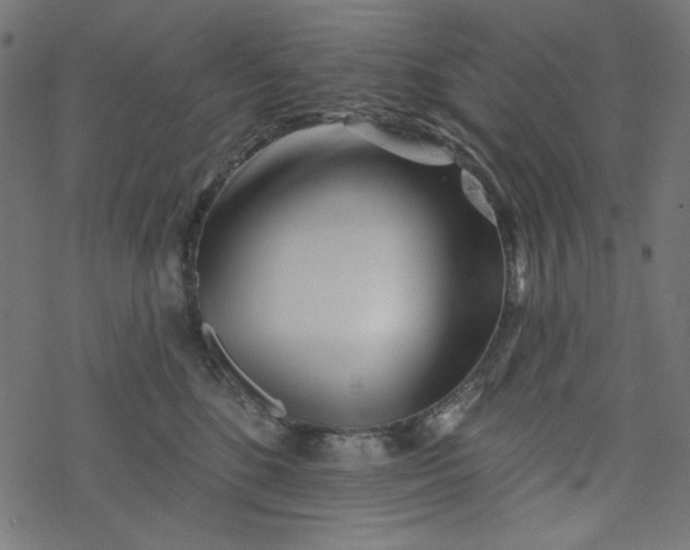 X0000077350520200611031824