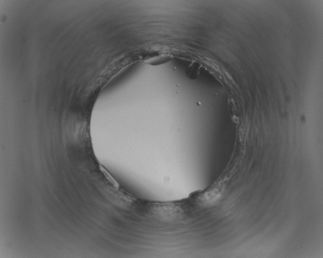 X0000077350521200611031824