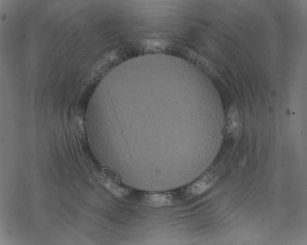 X0000077350522200611031824