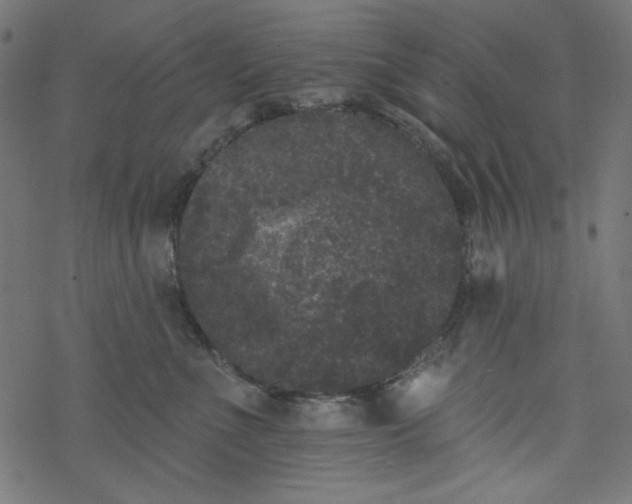 X0000077350523200611031824