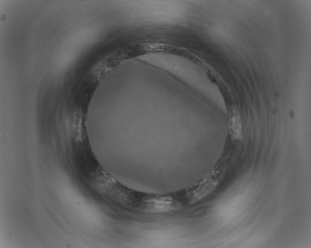 X0000077350525200611031824