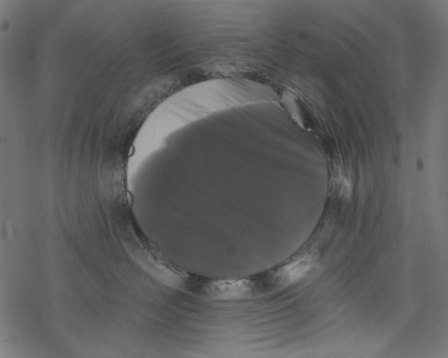 X0000077350526200611031824