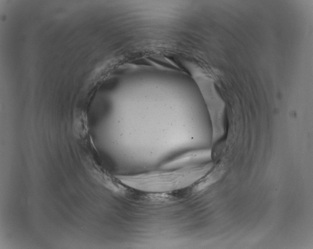 X0000077350528200611031824