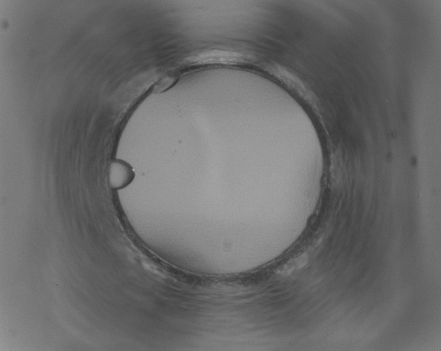 X0000077350529200611031823