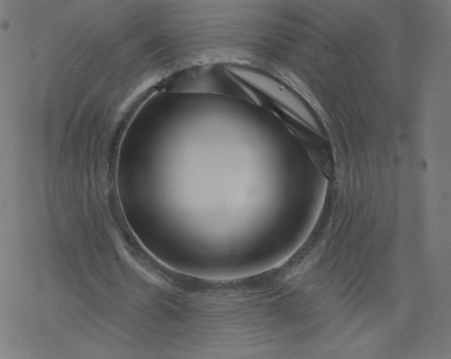 X0000077350530200611031823