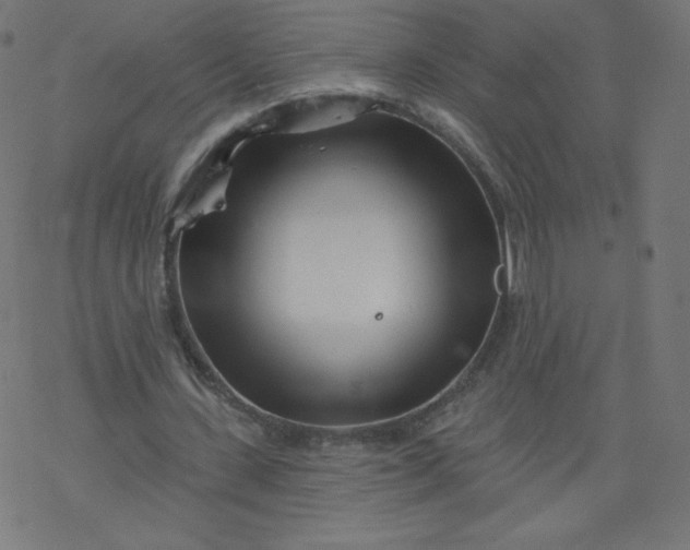 X0000077350531200611031823