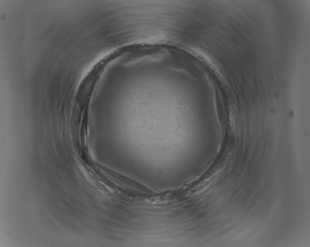 X0000077350532200611031823