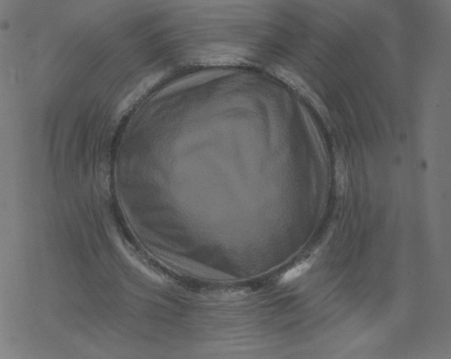 X0000077350533200611031823