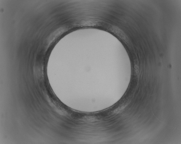 X0000077350534200611031823