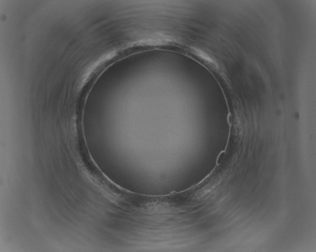 X0000077350535200611031823