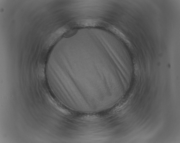 X0000077350537200611031823