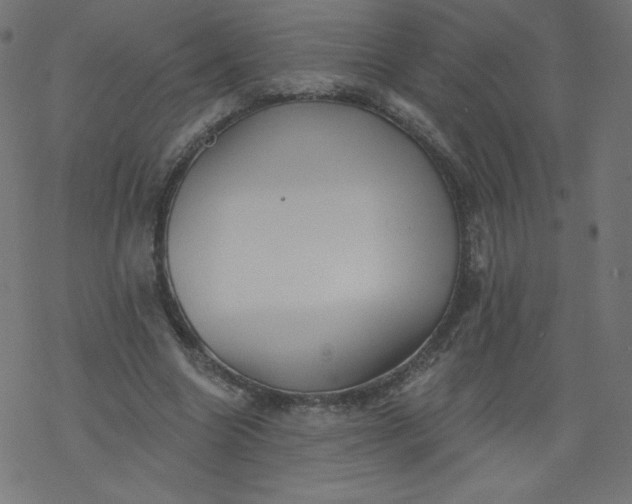 X0000077350538200611031823