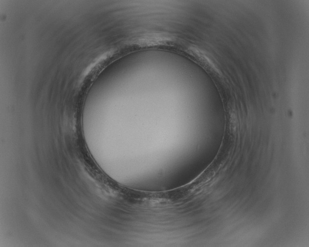 X0000077350539200611031823