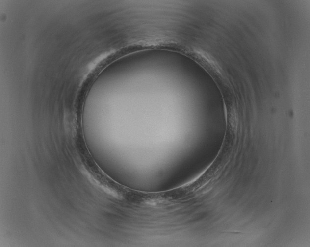 X0000077350540200611031823