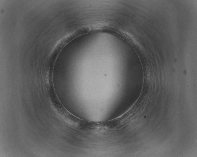 X0000077350543200611031824