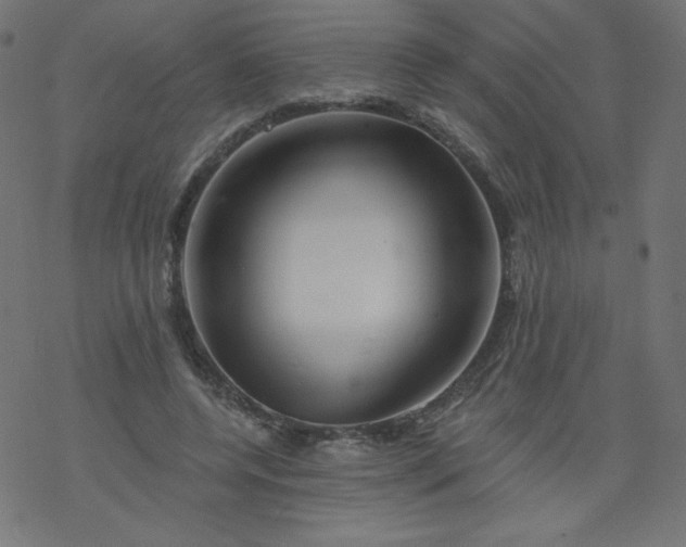 X0000077350544200611031824