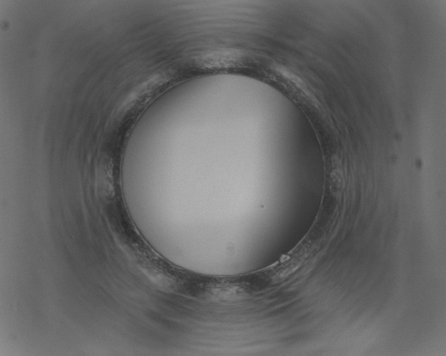 X0000077350547200611031824