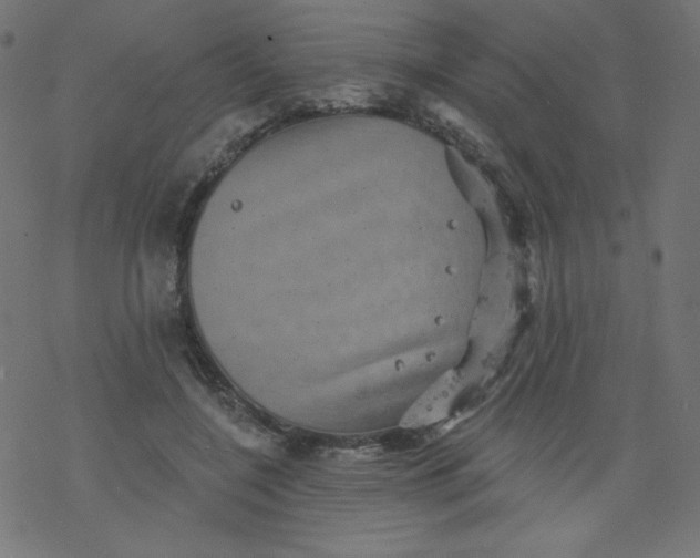 X0000077350548200611031824