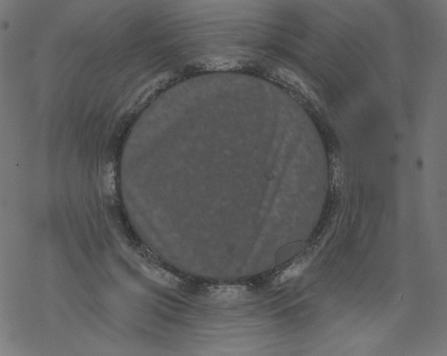 X0000077350549200611031824