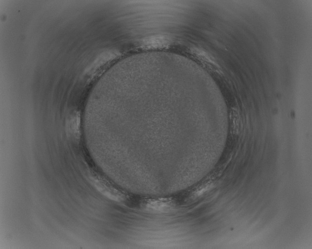 X0000077350550200611031824