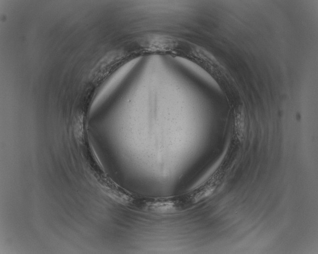 X0000077350554200611031824