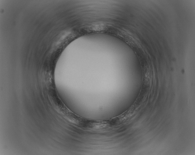 X0000077350555200611031824