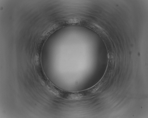 X0000077350556200611031824