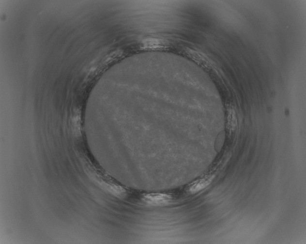 X0000077350557200611031824