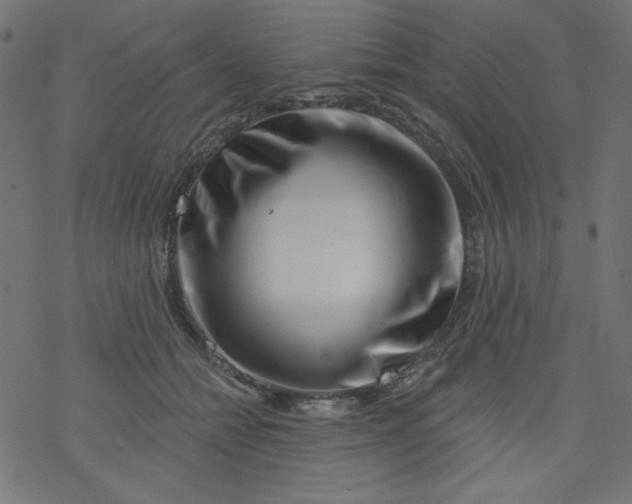 X0000077350558200611031824