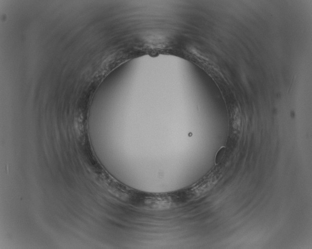 X0000077350559200611031824