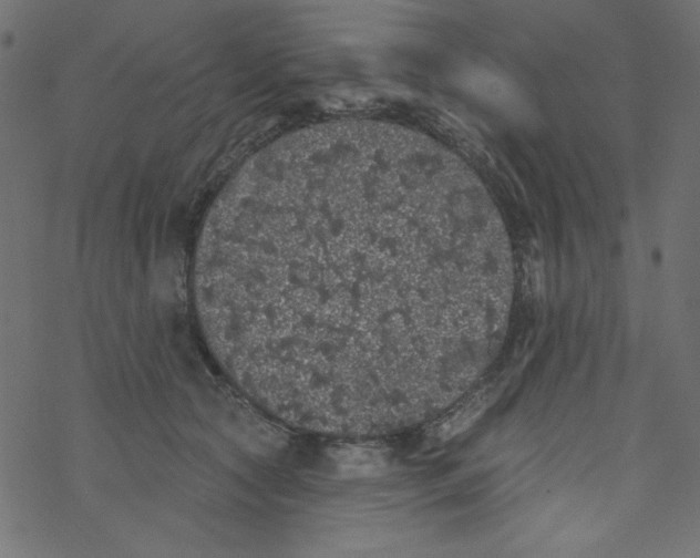 X0000077350561200611031824