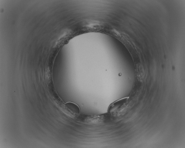 X0000077350563200611031824