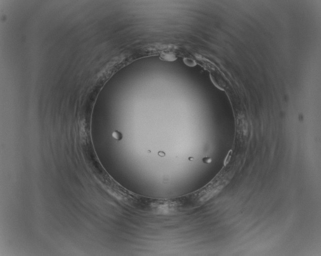 X0000077350564200611031824