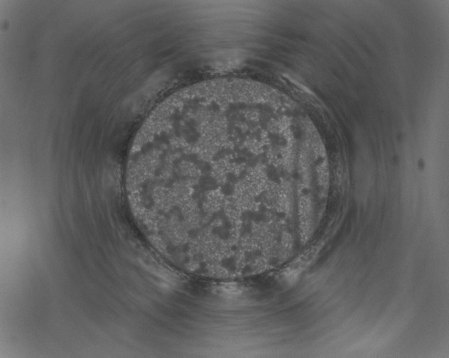 X0000077350565200611031824