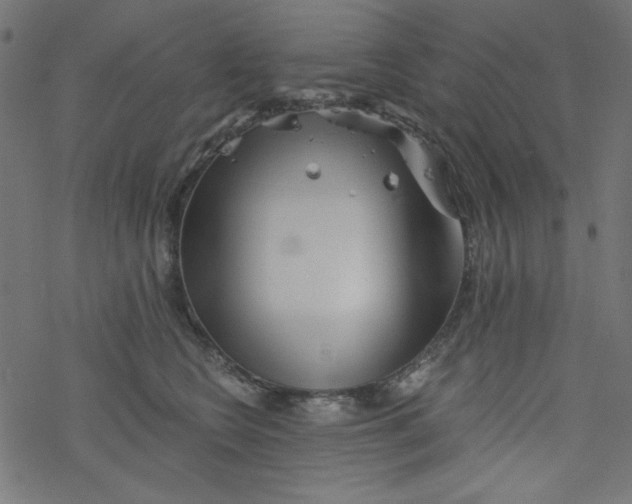 X0000077350566200611031824