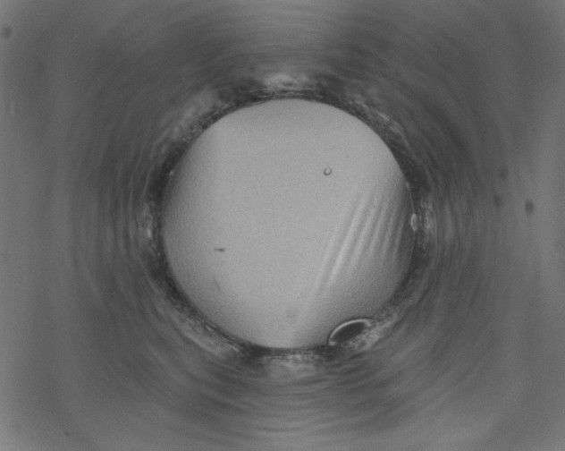 X0000077350567200611031824