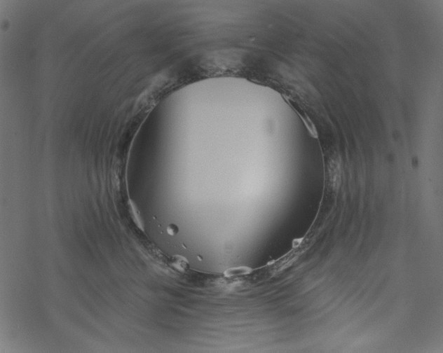 X0000077350570200611031824