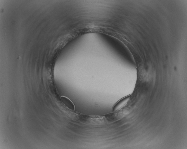 X0000077350571200611031824