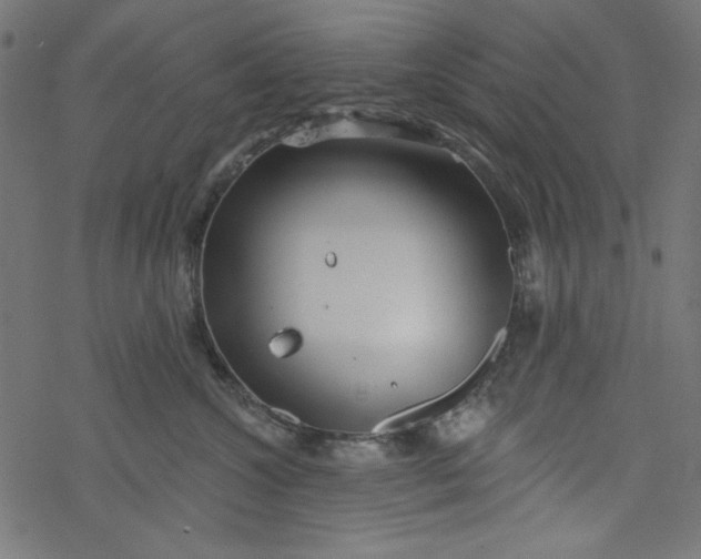 X0000077350572200611031824