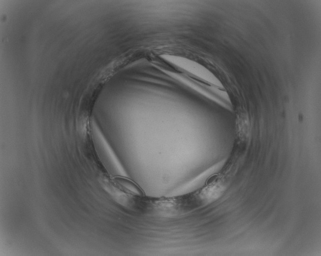 X0000077350574200611031824