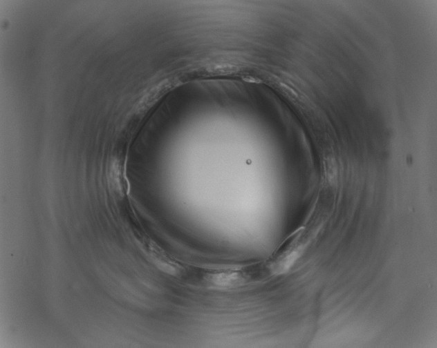 X0000077350575200611031824