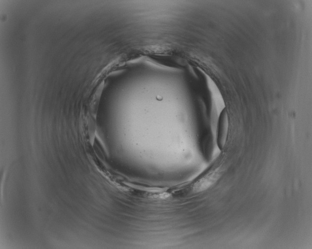 X0000077350576200611031824