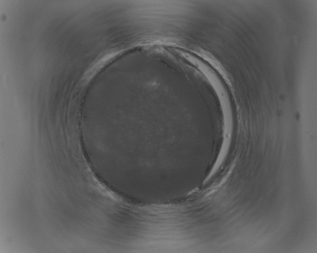 X0000077350577200611031823