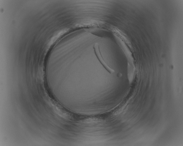 X0000077350578200611031823