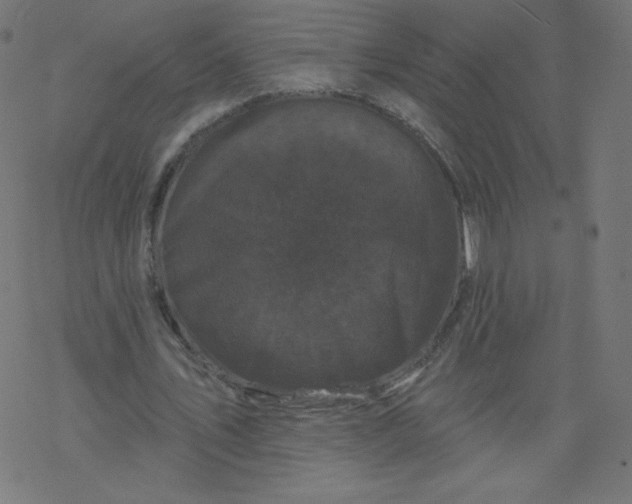 X0000077350579200611031823