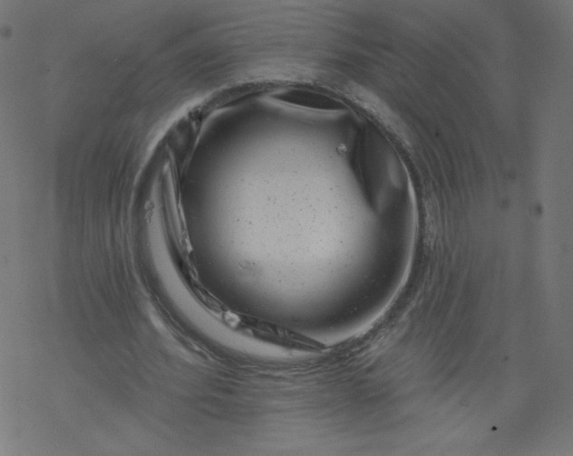 X0000077350580200611031823