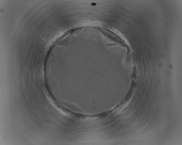 X0000077350581200611031823