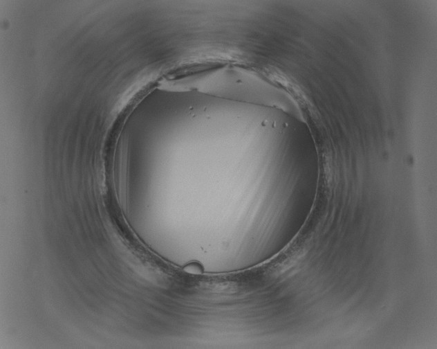 X0000077350582200611031823