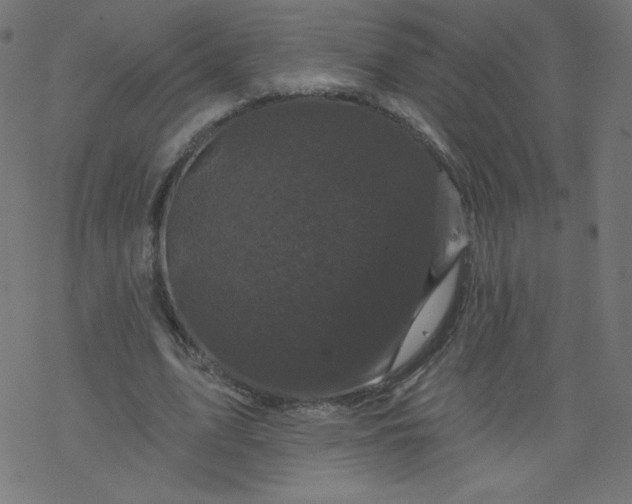 X0000077350583200611031823