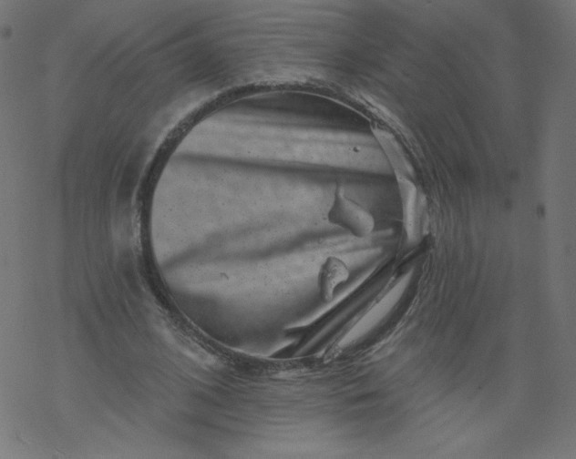 X0000077350584200611031823